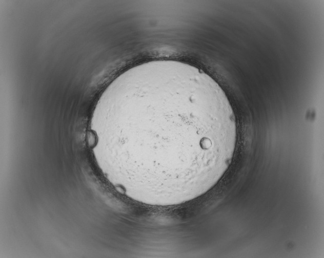 X0000112780545200909171338