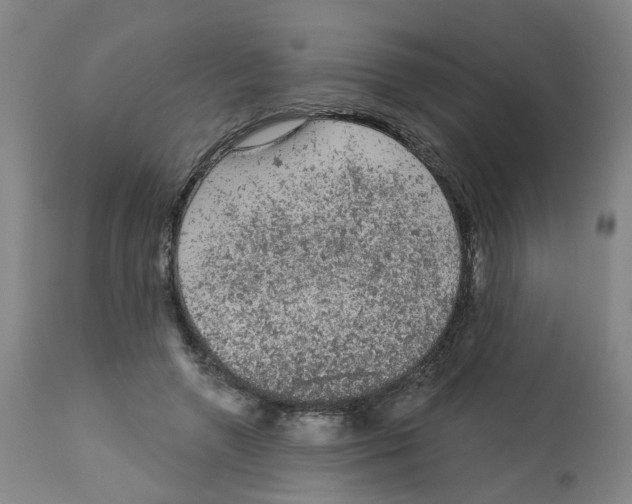 X0000112780546200909171338