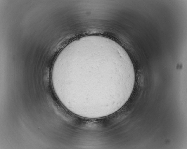 X0000112780550200909171338