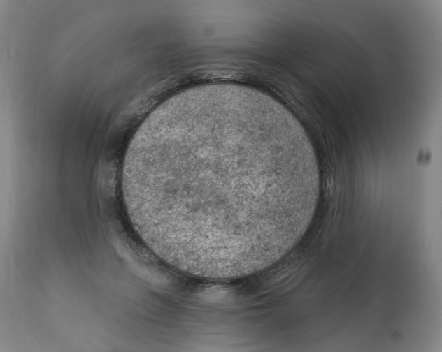 X0000112780551200909171338