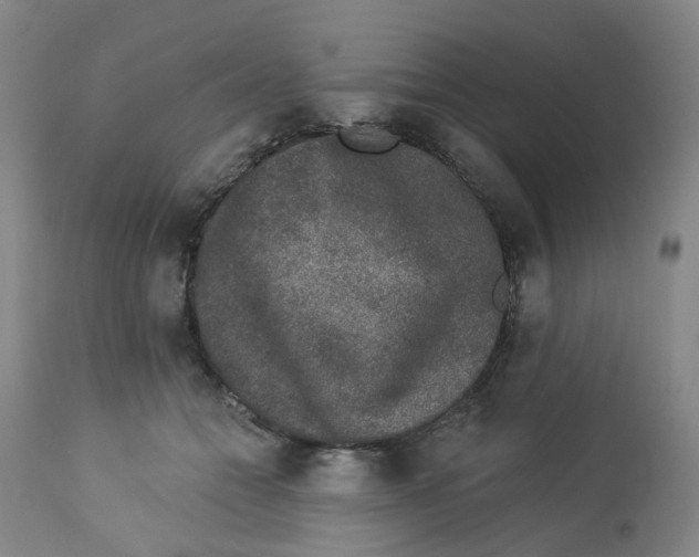 X0000112780558200909171338