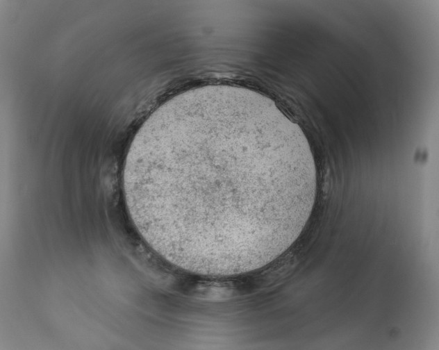 X0000112780559200909171338