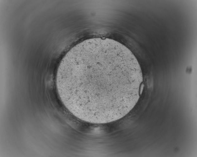 X0000112780564200909171339