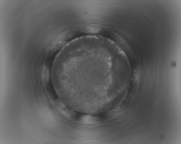 X0000112780568200909171339