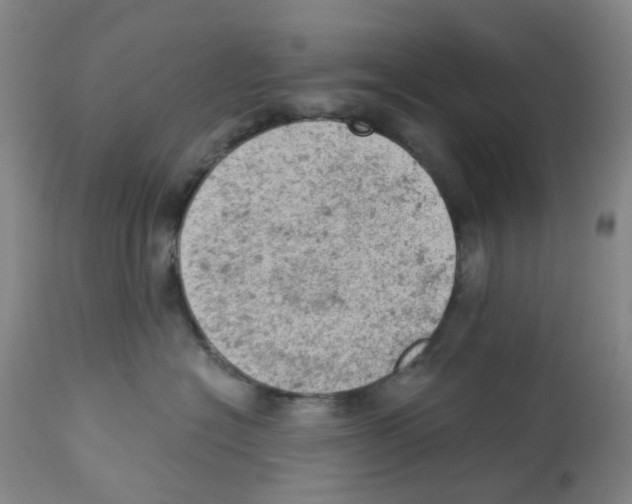 X0000112780574200909171339