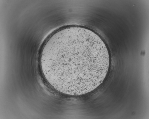 X0000112780580200909171338