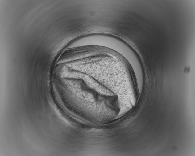 X0000112780581200909171338