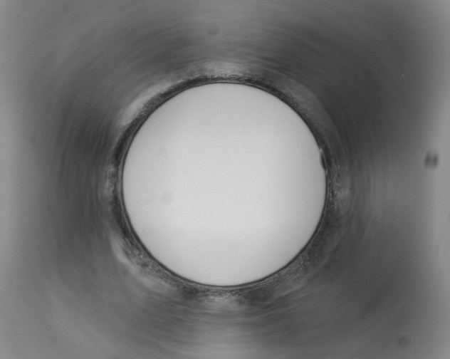 X0000112780583200909171338