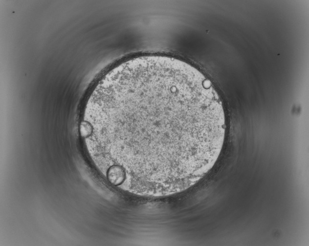 X0000112780584200909171338