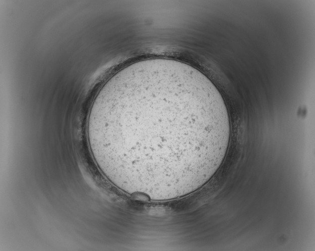 X0000112780587200909171338