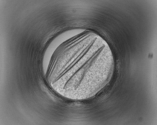 X0000112780589200909171338