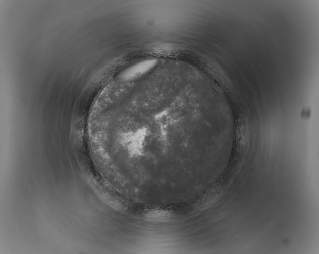 X0000112780593200909171338