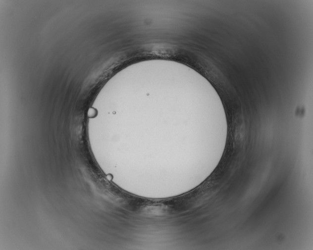 X0000112780595200909171338