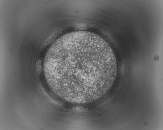 X0000112780598200909171338