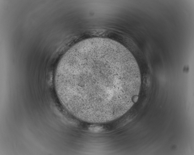 X0000112780602200909171338