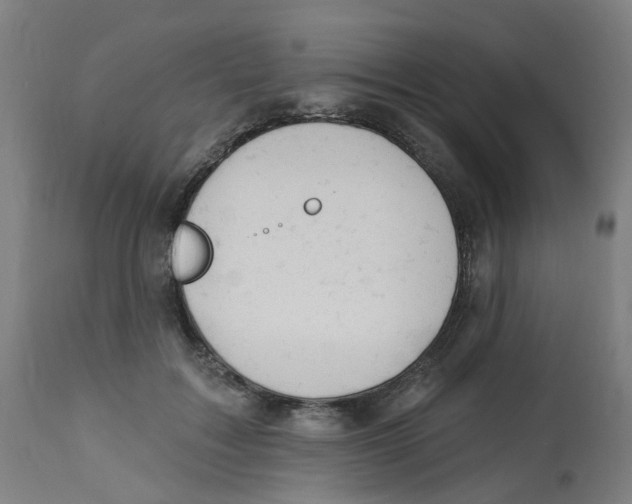 X0000112780603200909171338