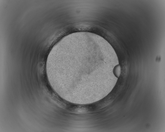 X0000112780604200909171338