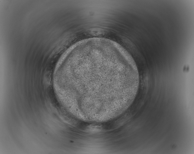 X0000112780606200909171338