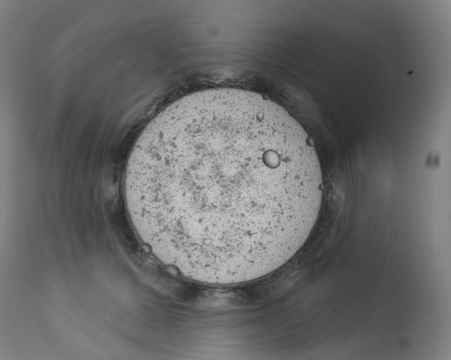 X0000112780607200909171338