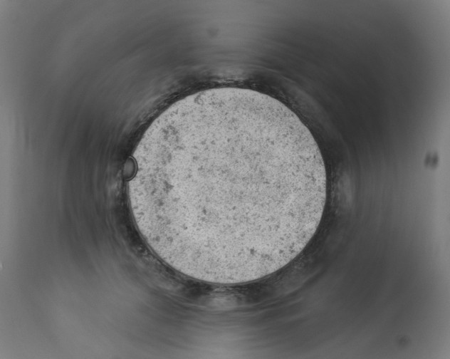 X0000112780608200909171337