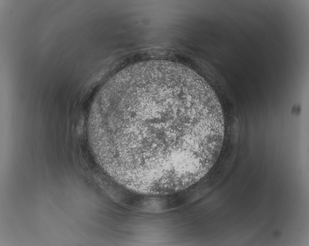 X0000112780610200909171337