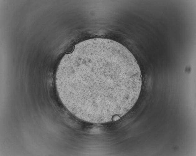 X0000112780612200909171337