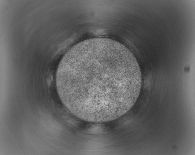 X0000112780618200909171337