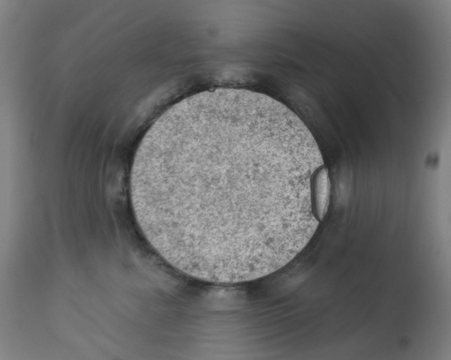 X0000112780619200909171337