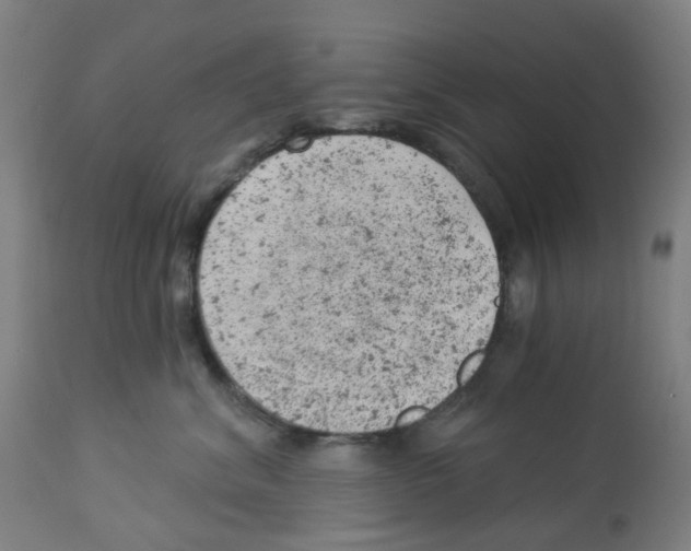 X0000112780620200909171337