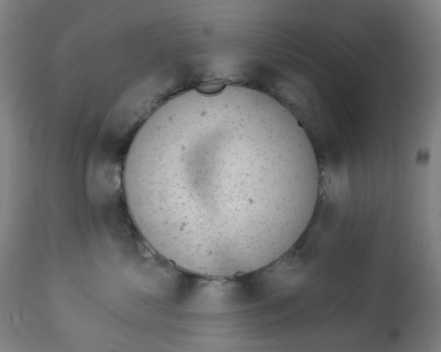 X0000112780621200909171337