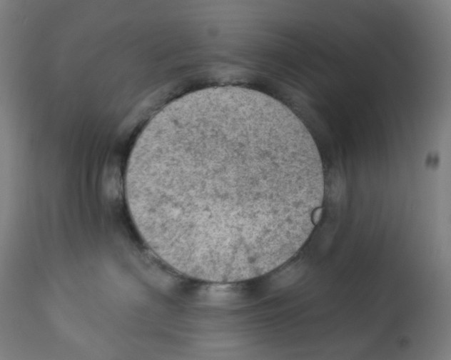 X0000112780622200909171337