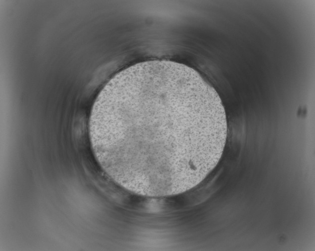 X0000112780623200909171337