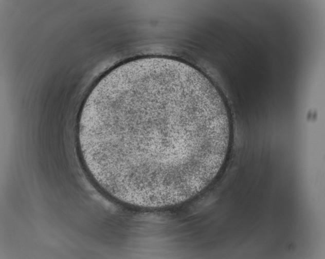 X0000112780625200909171337