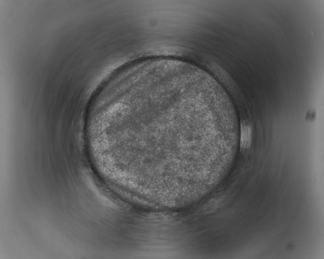 X0000112780627200909171337