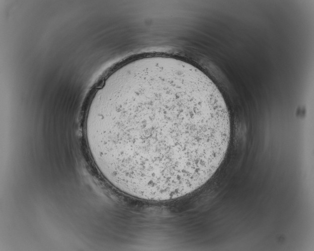 X0000112780628200909171337