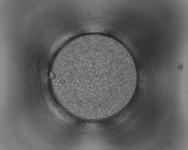 X0000112780631200909171337