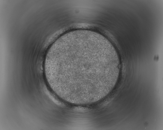 X0000112780633200909171337