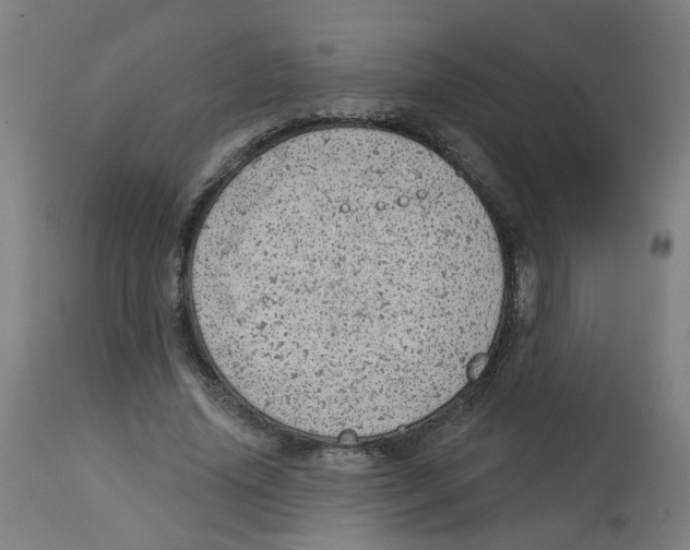 X0000112780636200909171337