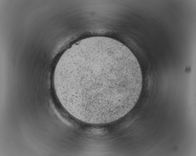 X0000112780638200909171337