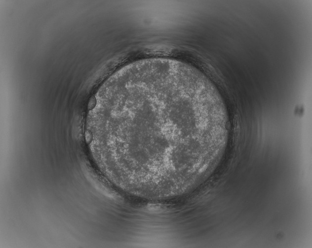 X0000112780641200909171337