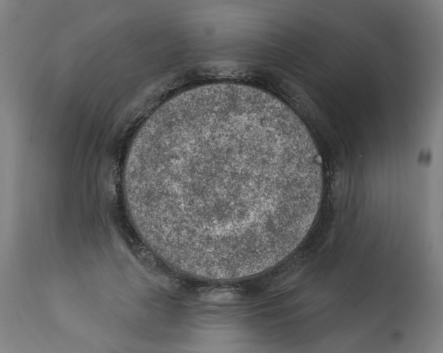 X0000112780643200909171337