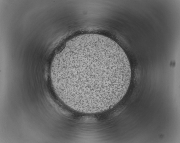 X0000112780644200909171337