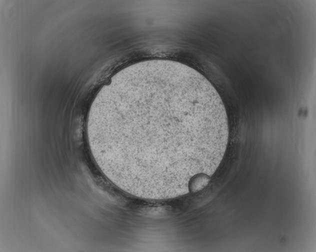 X0000112780646200909171337