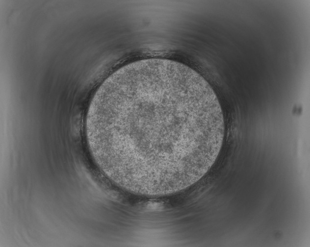 X0000112780647200909171337