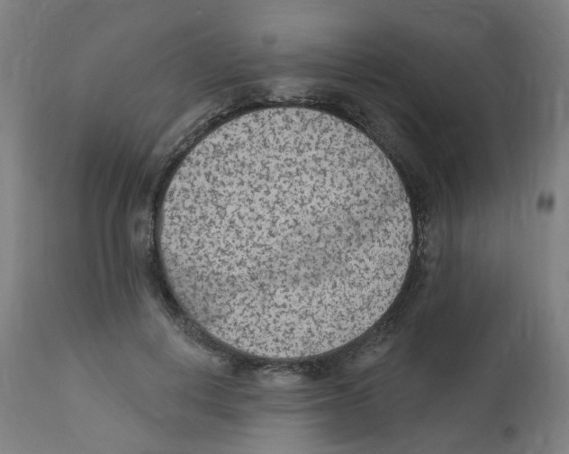 X0000112780648200909171337