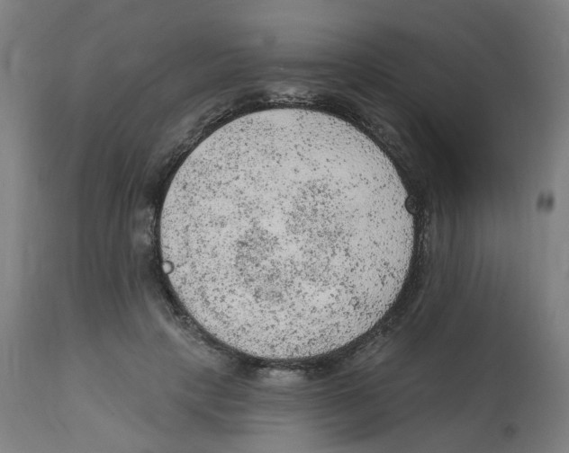 X0000112780649200909171337