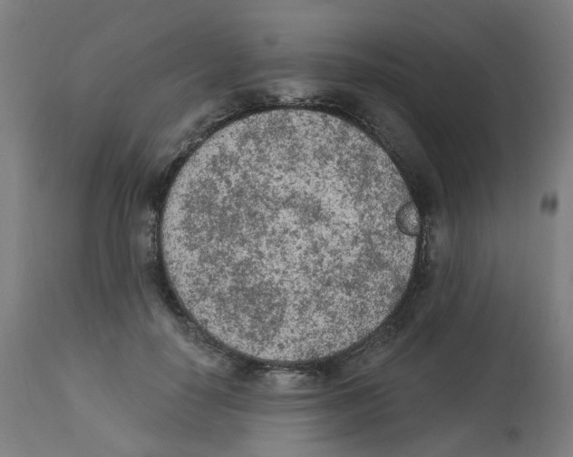 X0000112780650200909171337