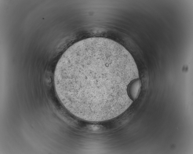 X0000112780654200909171337