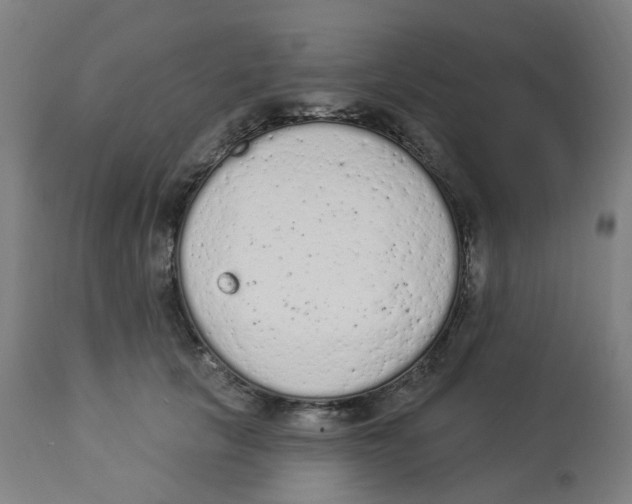 X0000112780657200909171337