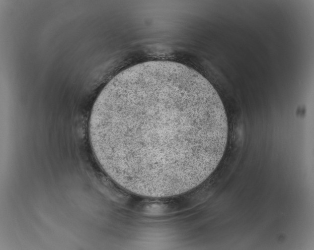 X0000112780658200909171337